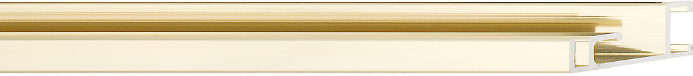 Sample of 500130000 Picture Frame Moulding