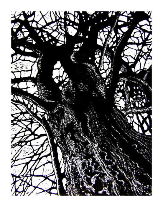 Shipley Trees 3 by Duncan Pass