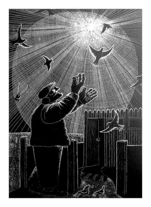 Pigeon Sheds by Duncan Pass