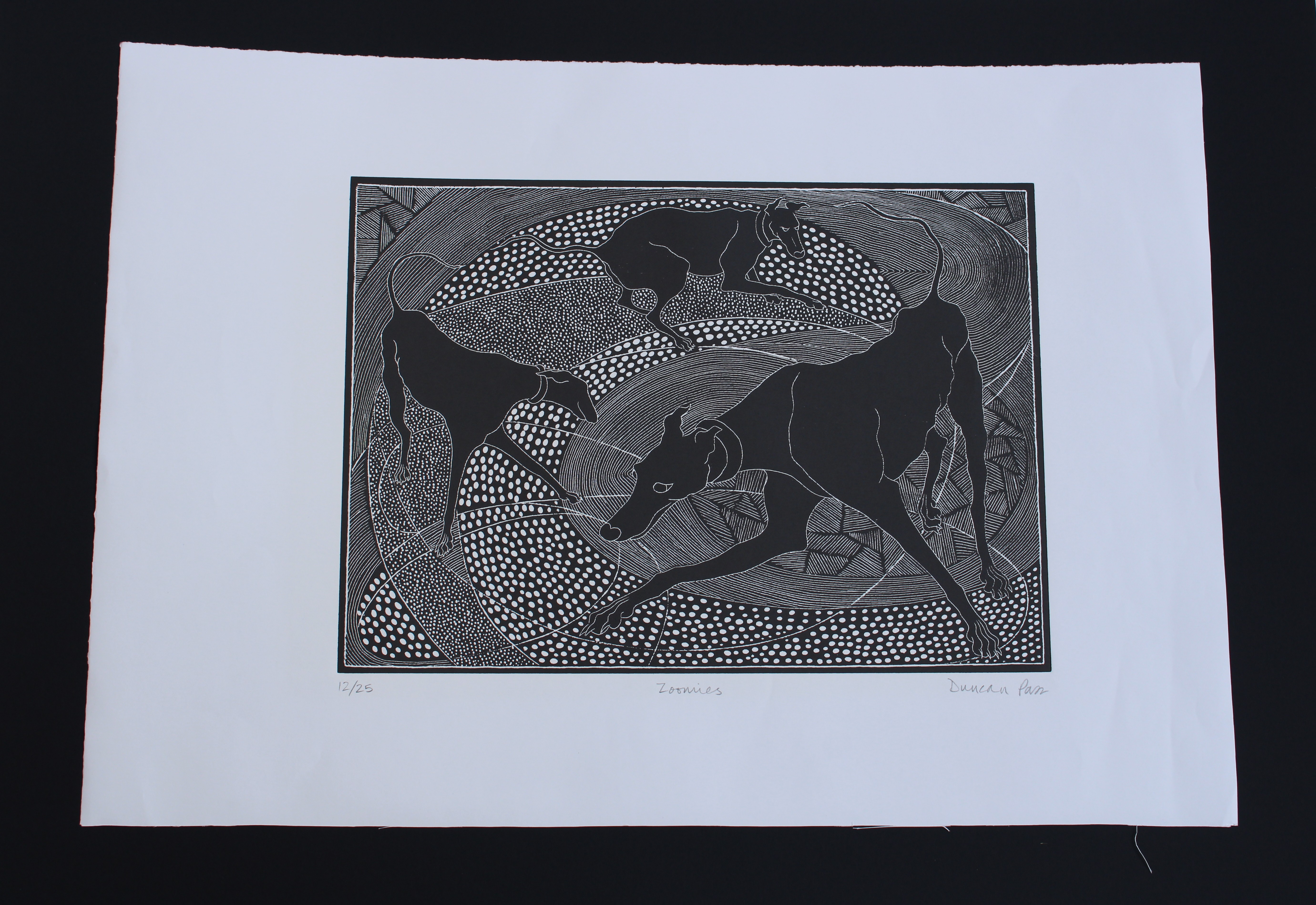 Zoomies by Duncan Pass