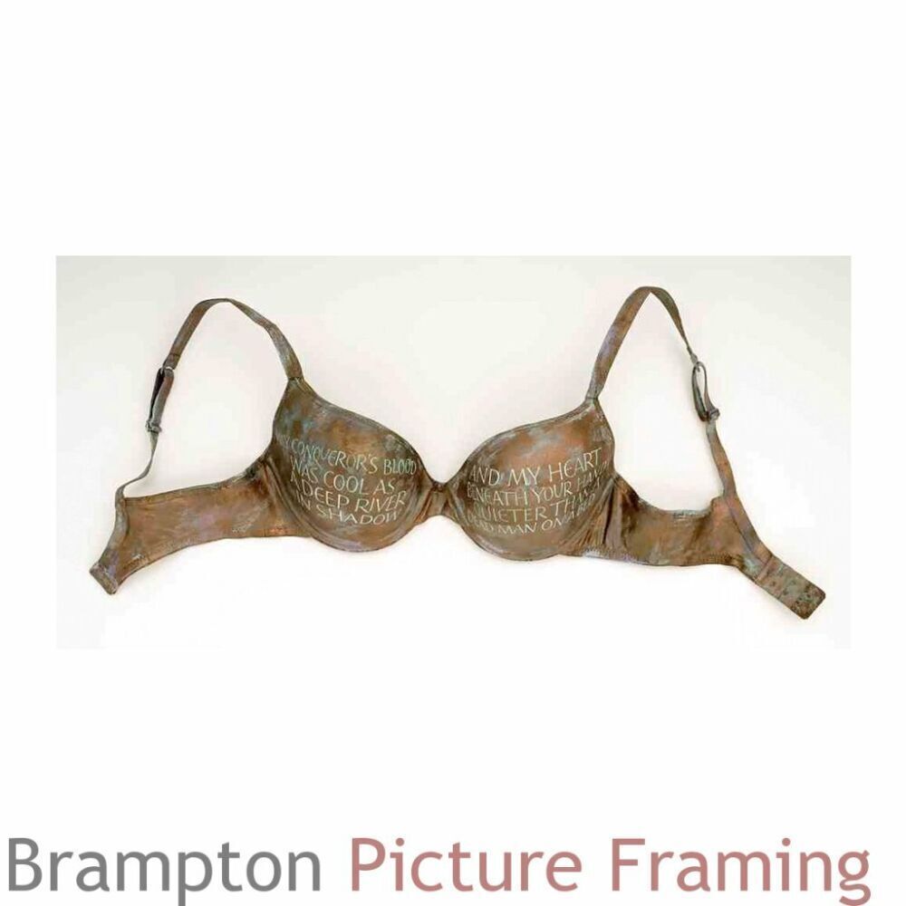 Hand Painted Bra by Elizabeth Forrest